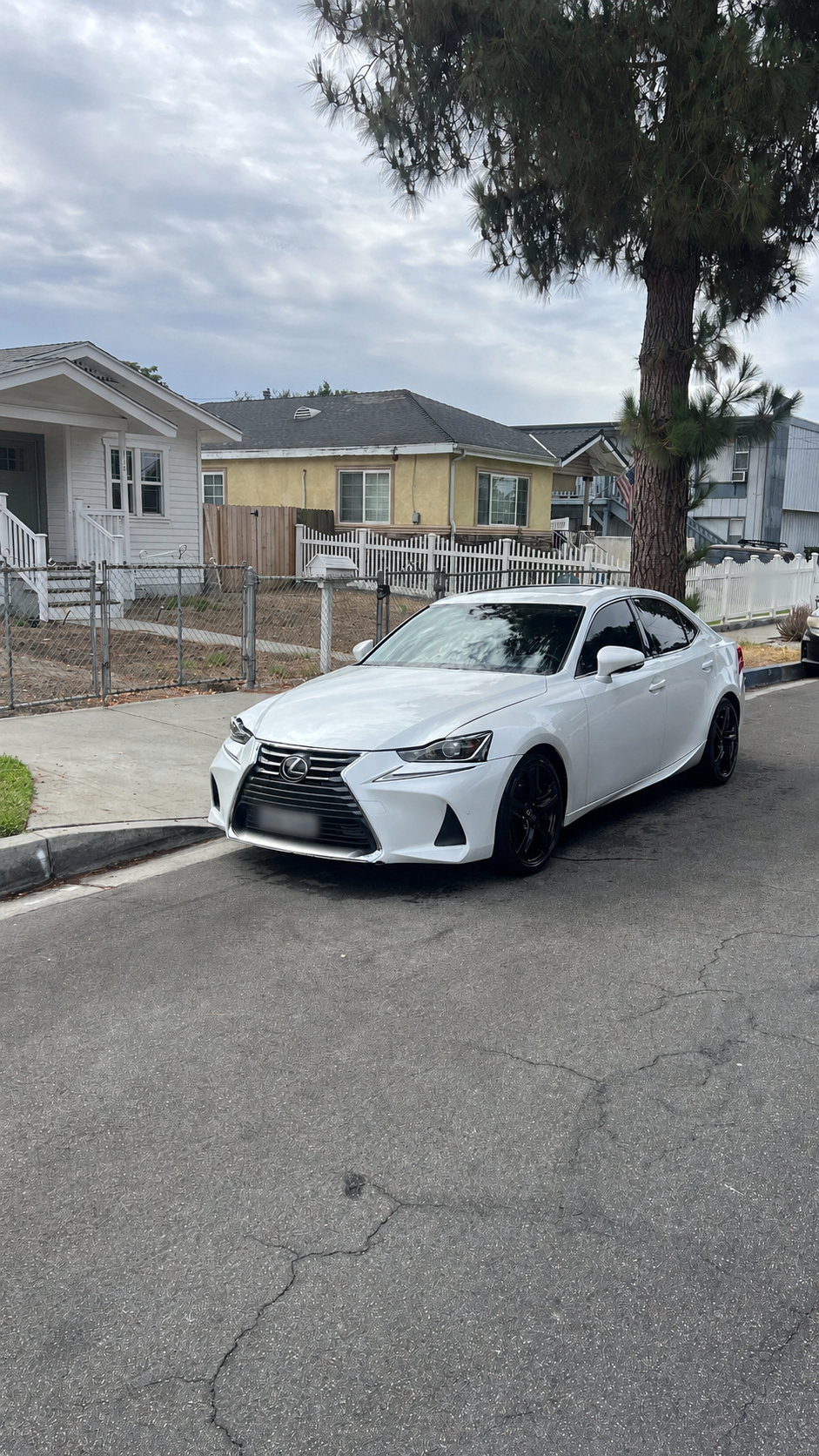 Lexus IS after mobile detailing by Hugo's Luxury Detail
